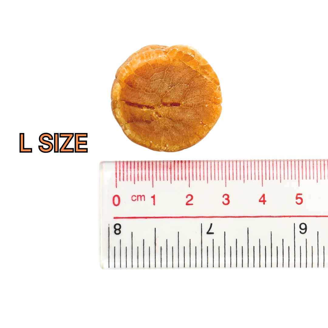 Dried Hokkaido Scallops 北海道干贝 (L) 500g