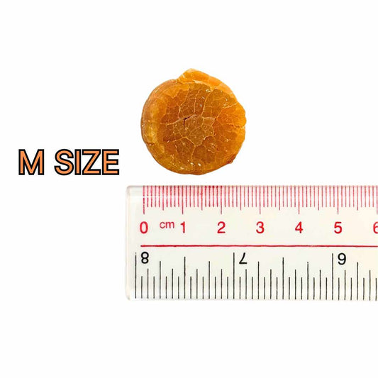 Dried Hokkaido Scallops 北海道干贝 (M) 300g