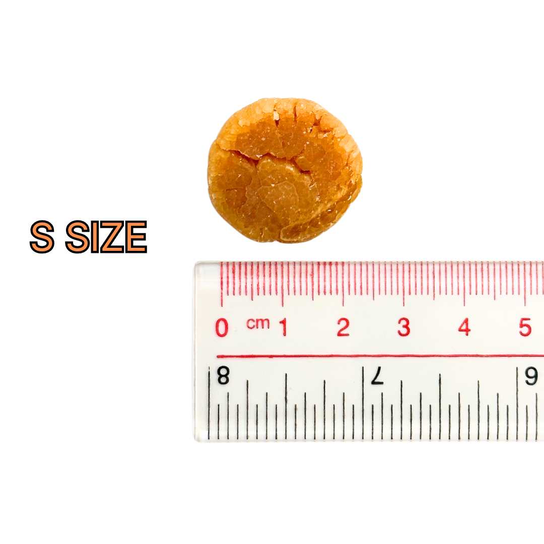 Dried Hokkaido Scallops 北海道干贝 (S) 500g