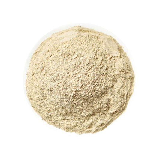 Angelica Sinensis Powder 当归粉